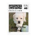 Buddy Stamp