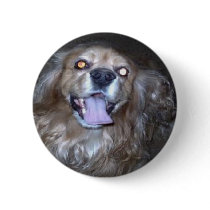 Buddy the Cocker Spaniel buttons by pidgiefund Buddy the Cocker Spaniel buttons
