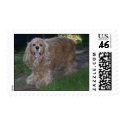 Buddy the Cocker Spaniel postage