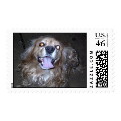 Buddy the Cocker Spaniel Stamp by pidgiefund
