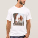Buddy the Dog t-shirts