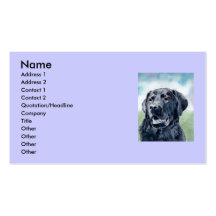 Buddy the Lab Business Card