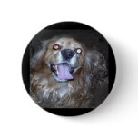 Buddy the snap dog  by the light of the full moon pinback button