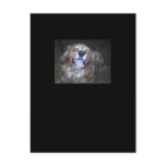 Buddy the snap dog  by the light of the full moon postcards
