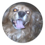 Buddy the snap dog  by the light of the full moon stickers