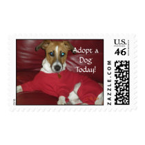 BuddyJokerXmas PJs, Adopt a DogToday! postage