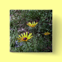 Buddy's Black Eyed Susans buttons