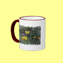 Buddy's Black Eyed Susans mugs