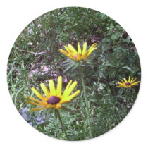 Buddy's Black Eyed Susans stickers by eelkat Buddy's Black Eyed Susans stickers