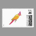budgerigar bird
