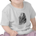 Budgerigar (budgie, parakeet) t-shirts