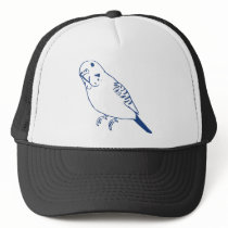 Budgerigar hats