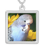 Budgerigar necklace (Square)