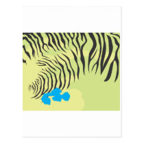 Budgerigar Parrot Skin postcards