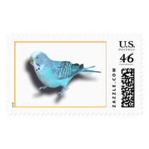 Budgerigar Stamps