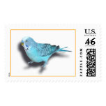 Budgerigar Stamps
