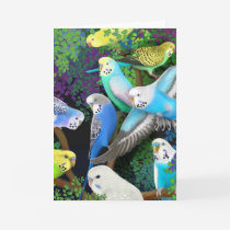 Budgerigars and Ferns Card