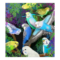 Budgerigars & Ferns Poster posters by twopurringcats Budgerigars & Ferns Poster posters