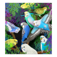 Budgerigars in Ferns Poster print