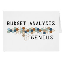 Budget Analysis Genius cards