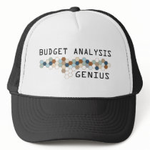Budget Analysis Genius hats by itsallhot Budget Analysis Genius hats