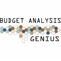 Budget Analysis Genius photo sculptures by itsallhot Budget Analysis Genius photo sculptures