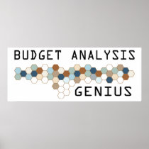 Budget Analysis Genius Poster