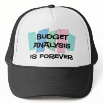 Budget Analysis Is Forever hats by sciencewillprevail Budget Analysis Is Forever hats