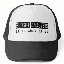Budget Analysis It Is Hats