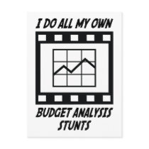 Budget Analysis Stunts Post Card
