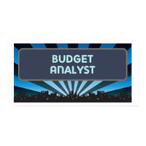 Budget Analyst Marquee posters