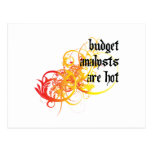 Budget Analysts Are Hot Postcard
