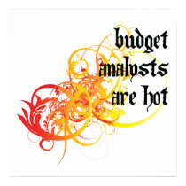 Budget Analysts Are Hot posters