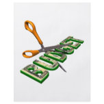 Budget Cuts Full Color Flyer