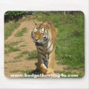Budget Hosting 4 U Tiger Mouse Pad mousepads by budgethosting4u Budget Hosting 4 U Tiger Mouse Pad mousepads