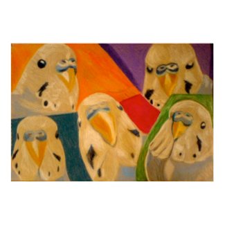 Budgie Budgerigar Poster print