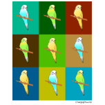 Budgie Design in earthy tones t-shirts