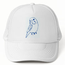 Budgie Drawing hats