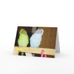 Budgie Large Note Card