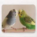 Budgie Mousepad by mavimet Budgie Mousepad