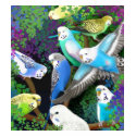 Budgie Parakeets and Ferns Ladies Baby Doll Shirt by twopurringcats Budgie Parakeets and Ferns Ladies Baby Doll Shirt