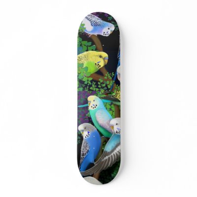 Parakeet Skateboard