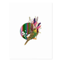 Budgie Postcards