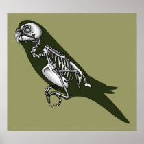 budgie skeleton print