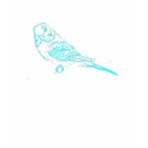 Budgie T-shirt by nature_art Budgie T-shirt