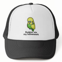 Budgies ate my homework hats