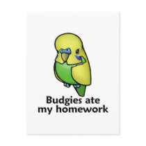 Budgies ate my homework post cards