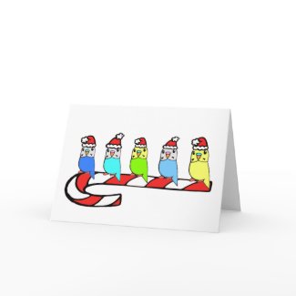 Budgies- Christmas card
