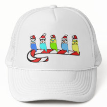Budgies- Christmas Mesh Hat