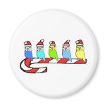 Budgies- Christmas Fridge Magnet